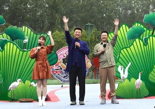 娱乐吃瓜猫咪视频大全最新,最新猫咪吃瓜视频大盘点