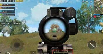 娱乐大瓜在线吃鸡游戏