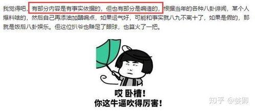 娱乐圈吃瓜421pdf,421PDF背后的惊人内幕大曝光