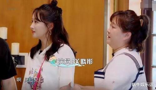 娱乐吃瓜酱陪玩在线观看,揭秘娱乐圈幕后故事