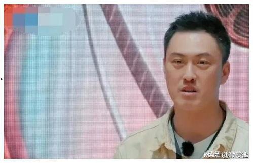 娱乐圈新吃瓜,揭秘明星背后的惊人真相！