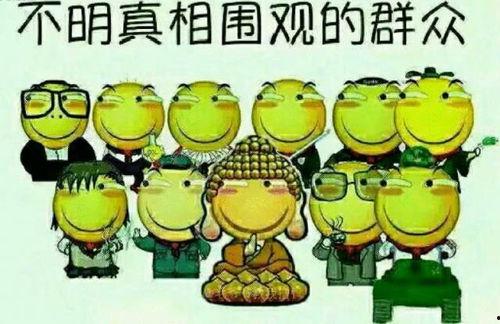 吃瓜群众娱乐小能手,揭秘娱乐圈幕后趣闻